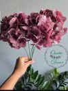 images/virtuemart/product/Nf-00000538_1