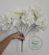 images/virtuemart/product/Nf-00001468_1